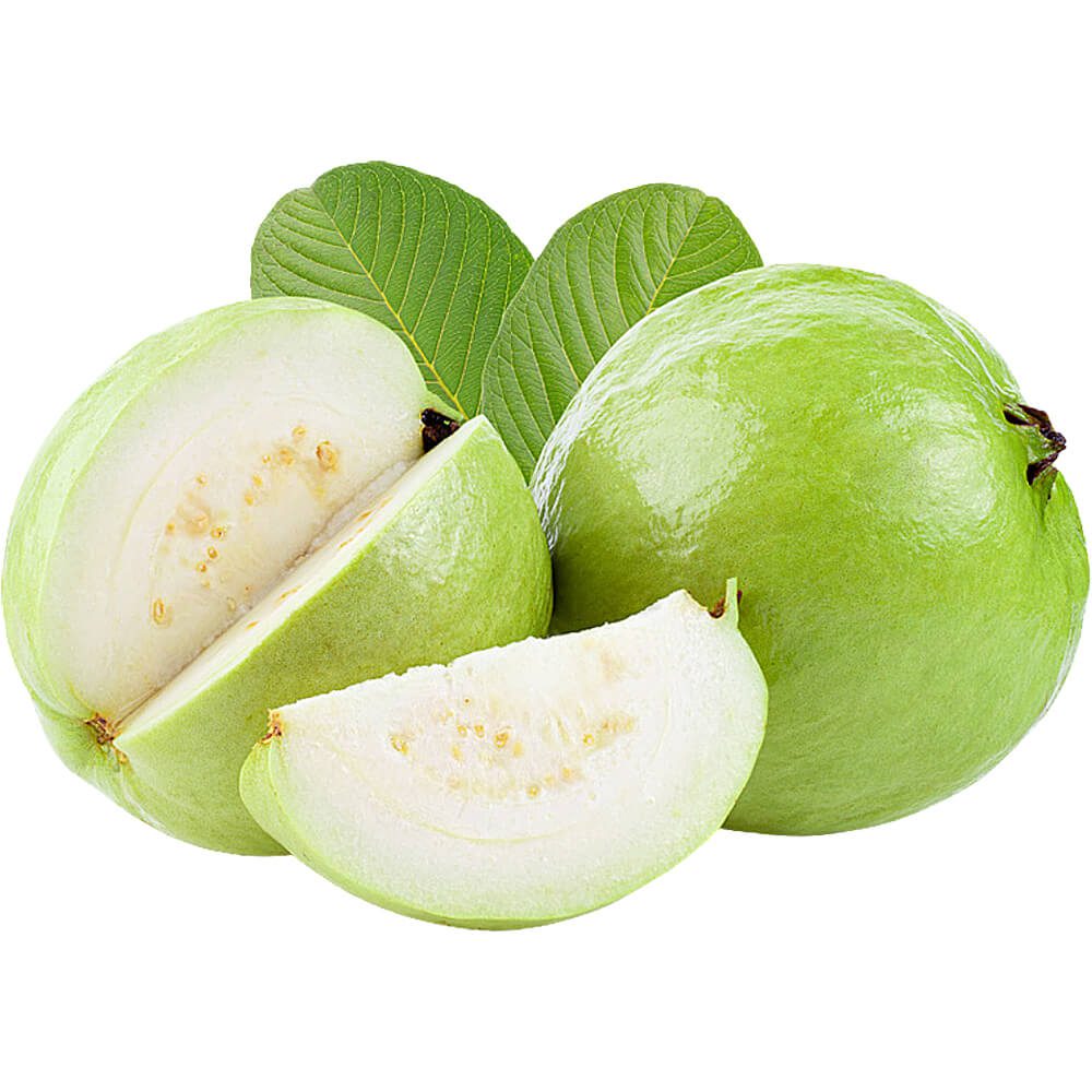 Guava-img-2
