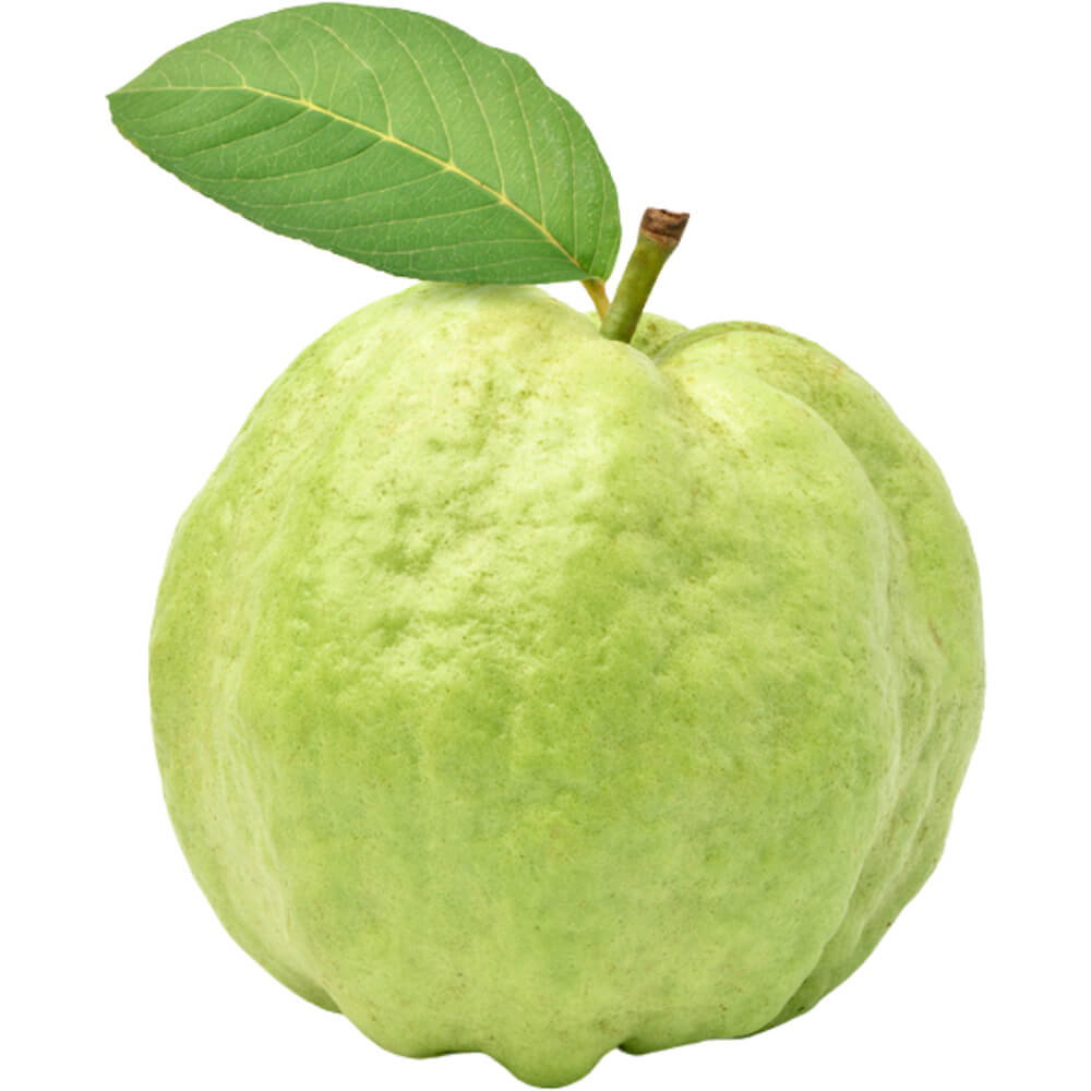 Guava-img-3