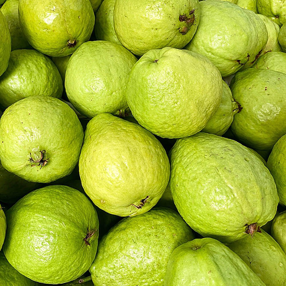 Guava-img-4