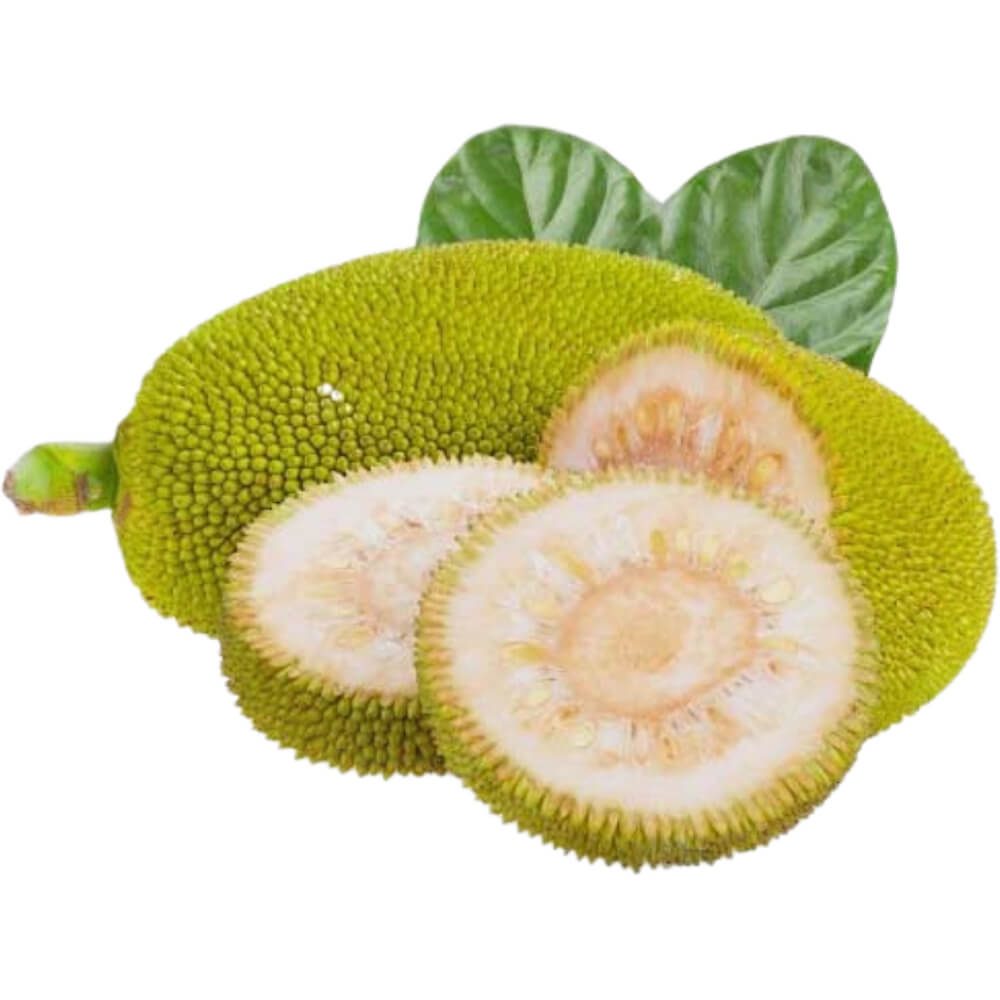 Jackfruit-Green-img-2
