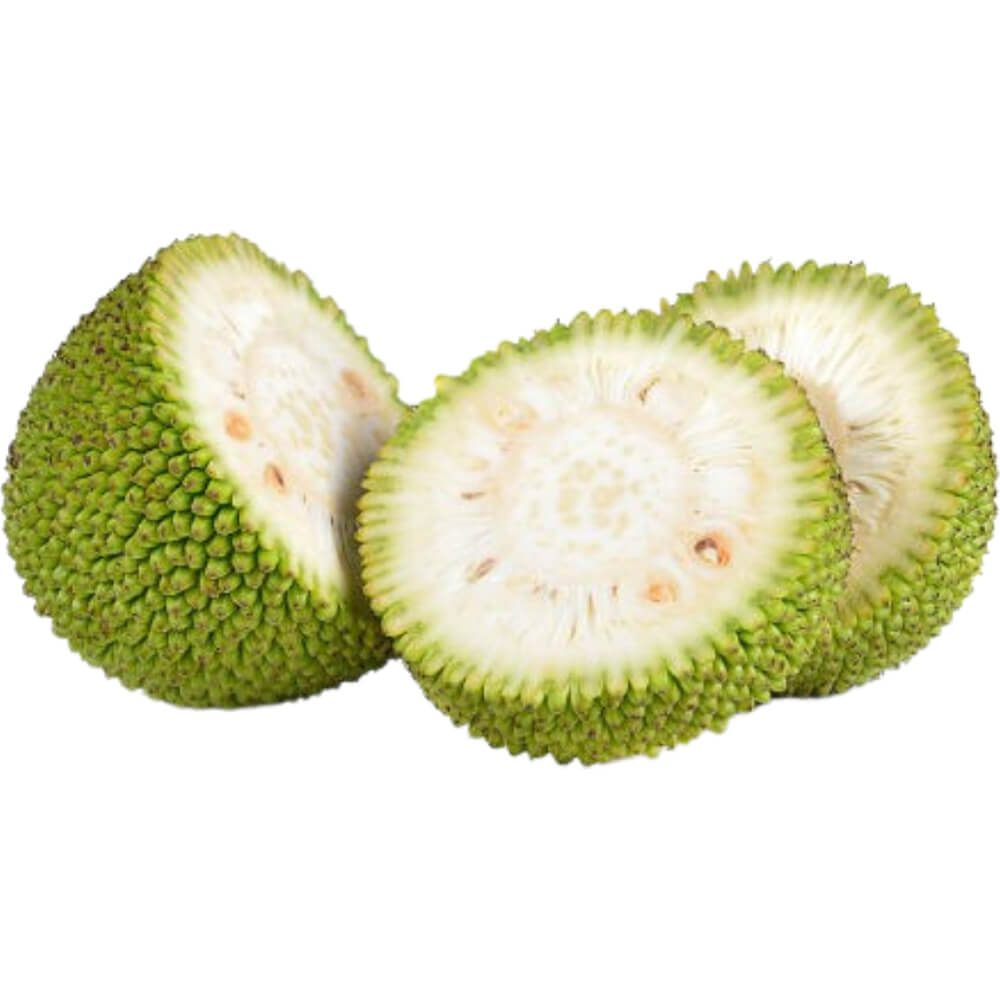 Jackfruit-Green-img-4