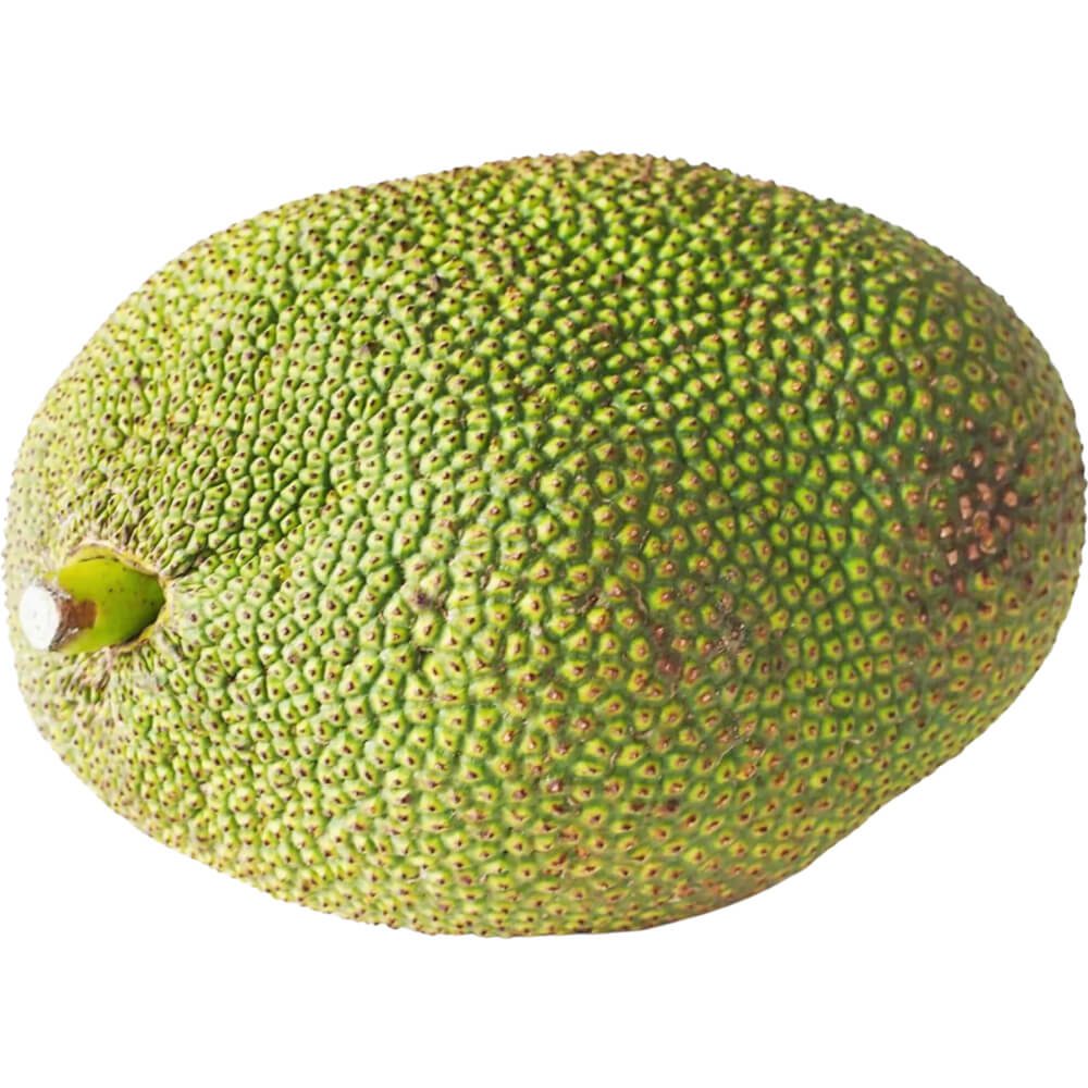 Jackfruit-img-2