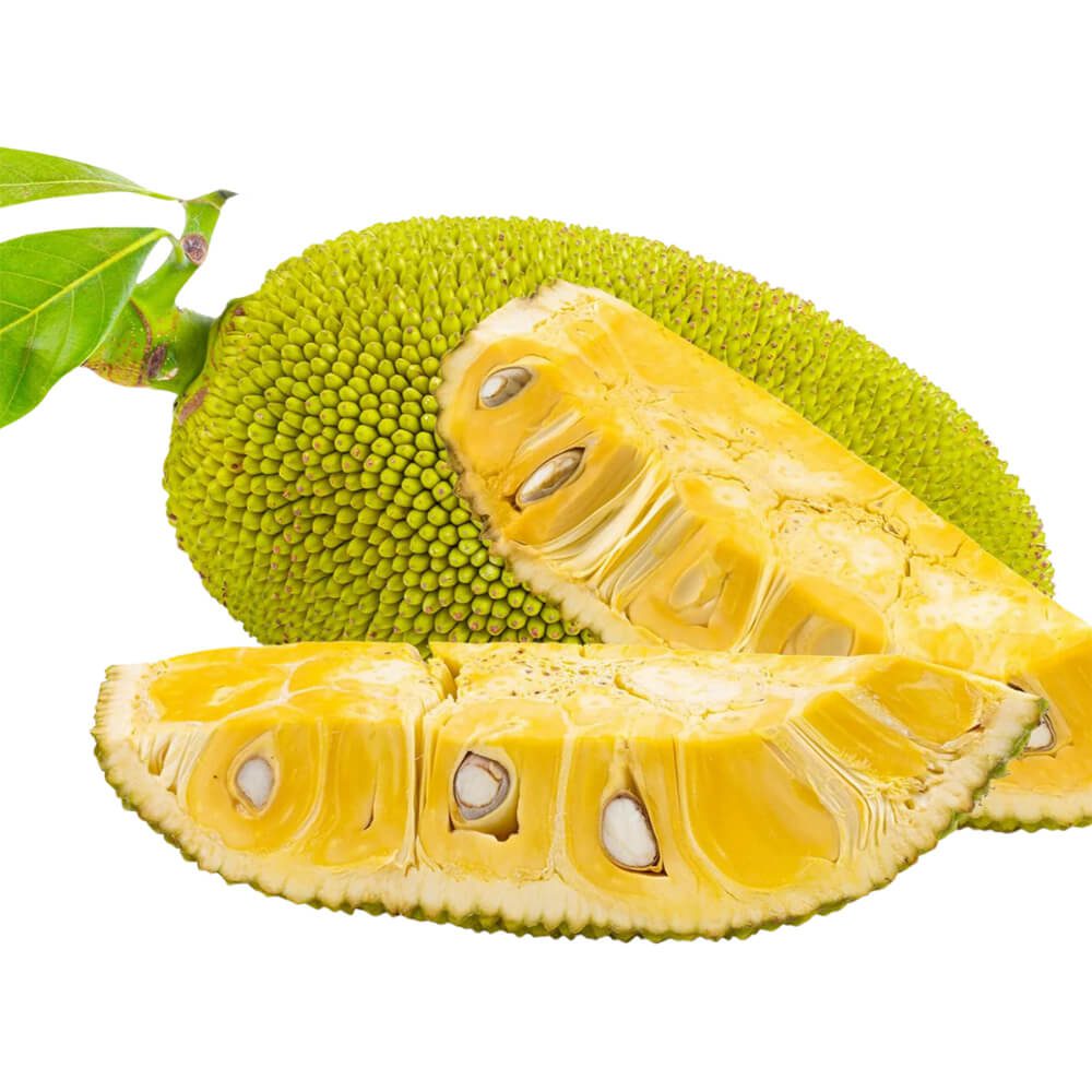 Jackfruit-img-4