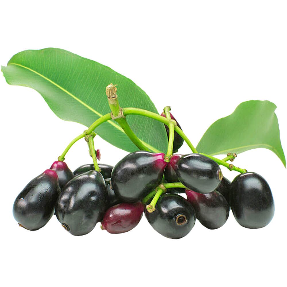 Jamun-Fruit-Premium-Pakistani-img-2