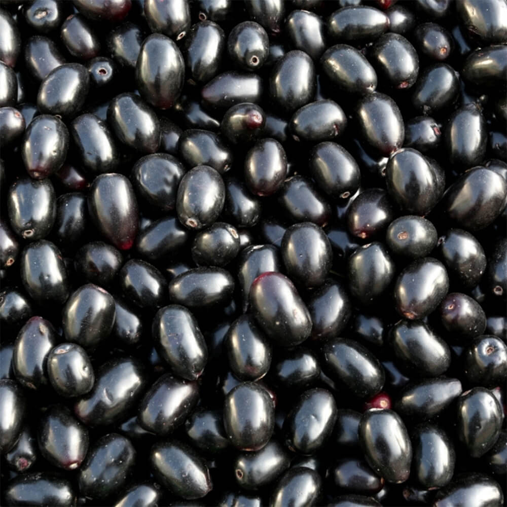 Jamun-Fruit-Premium-Pakistani-img-4