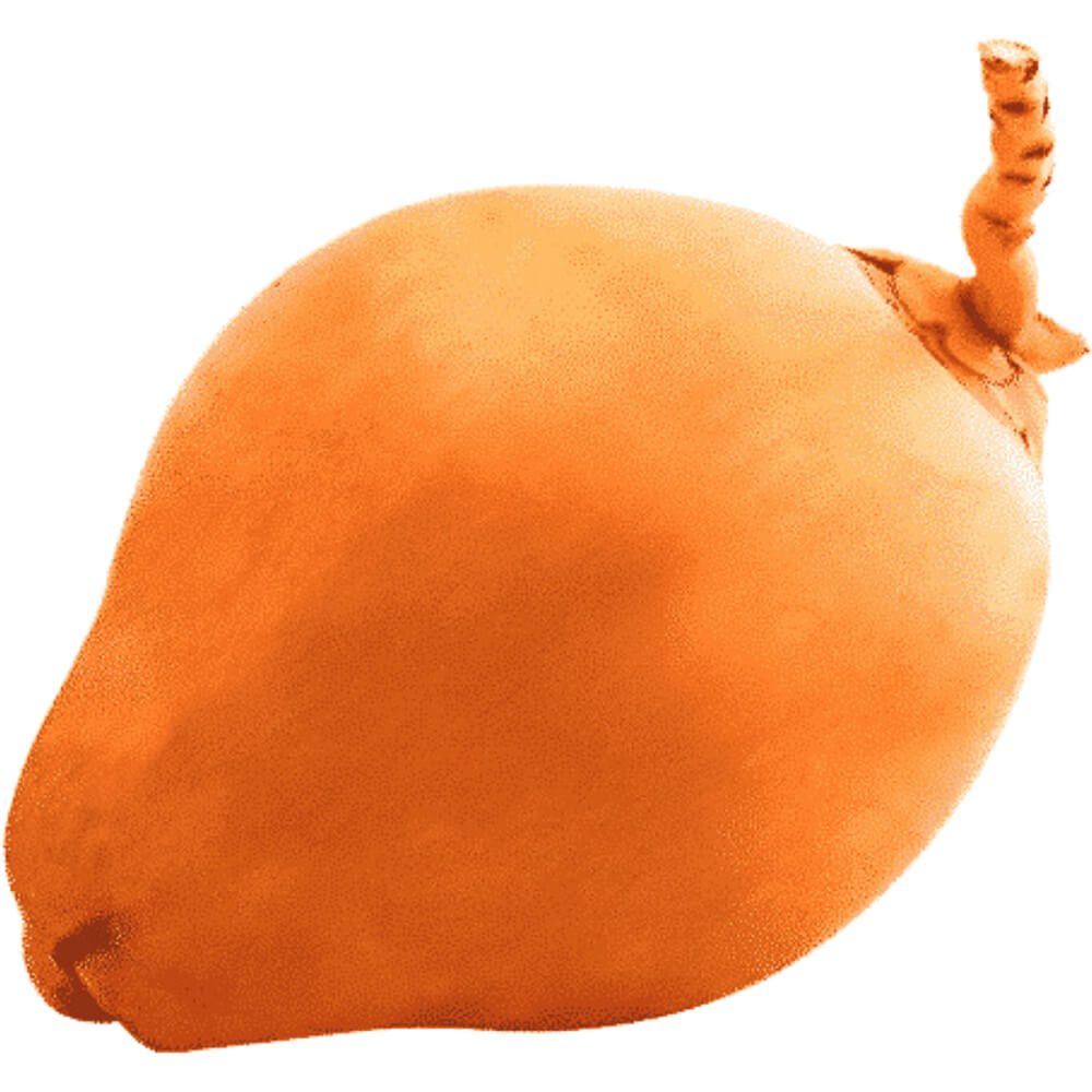 King Coconut