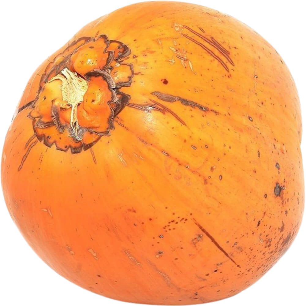 King-Coconut-img-2