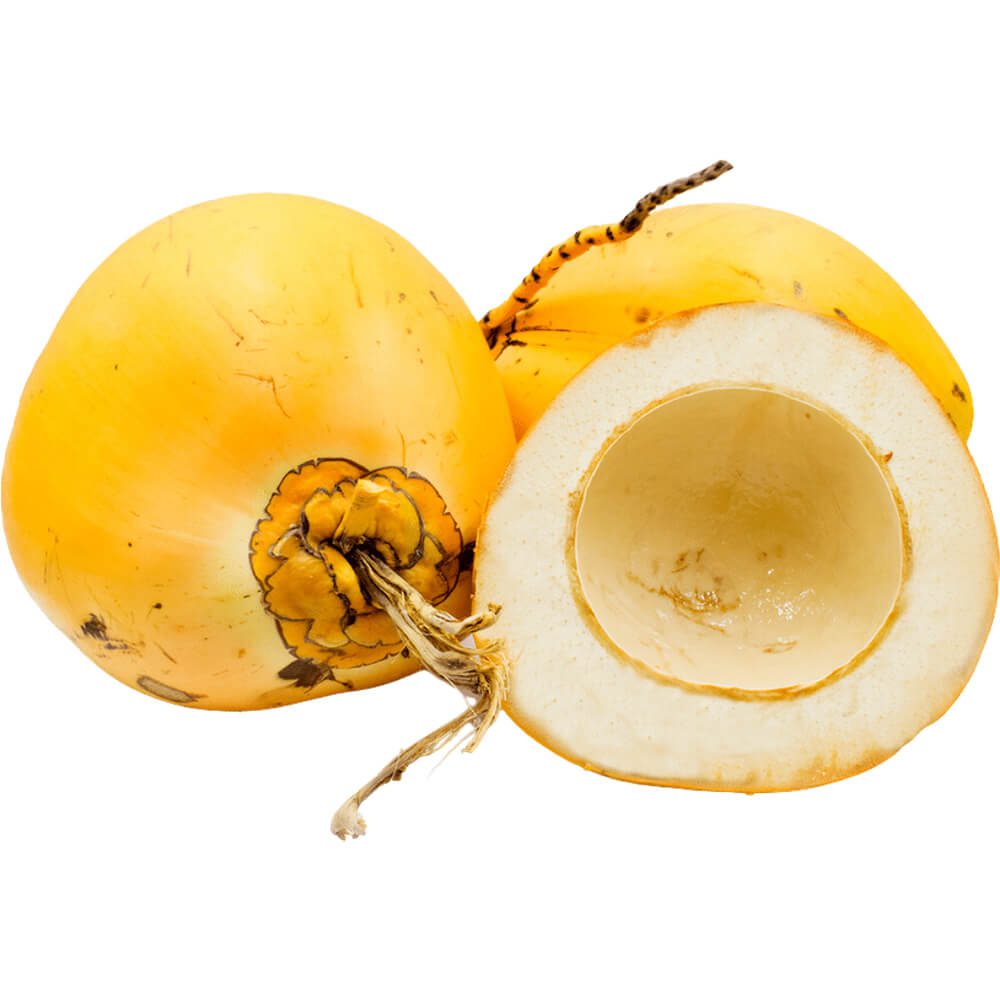 King-Coconut-img-3