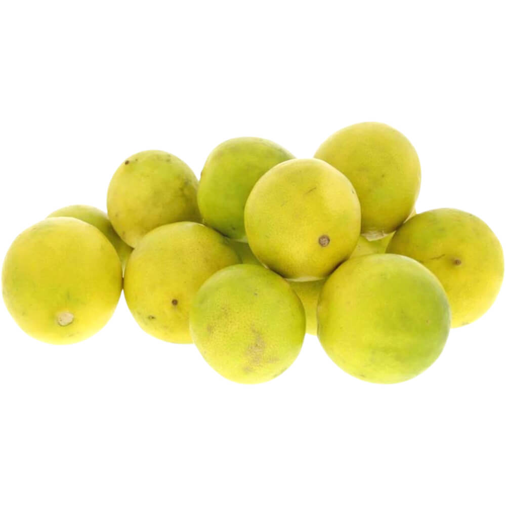 Lime-India-Sanitized-img-2