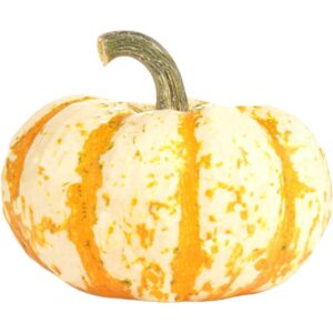 Lil Tiger Pumpkin Halloween