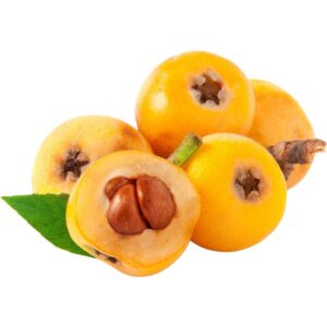 Loquat - Japanese Plum (Lebanon)