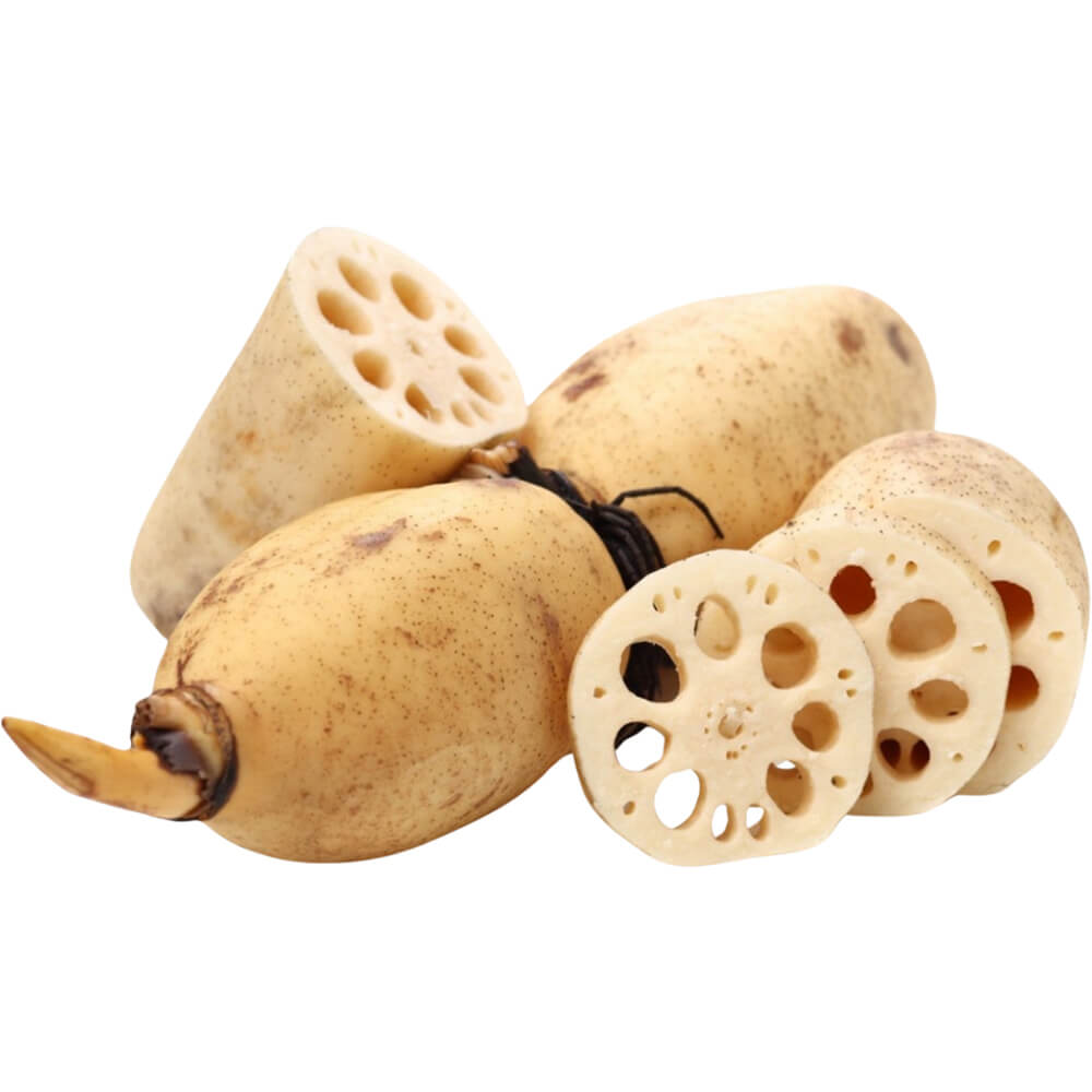 Lotus-Root-img-2