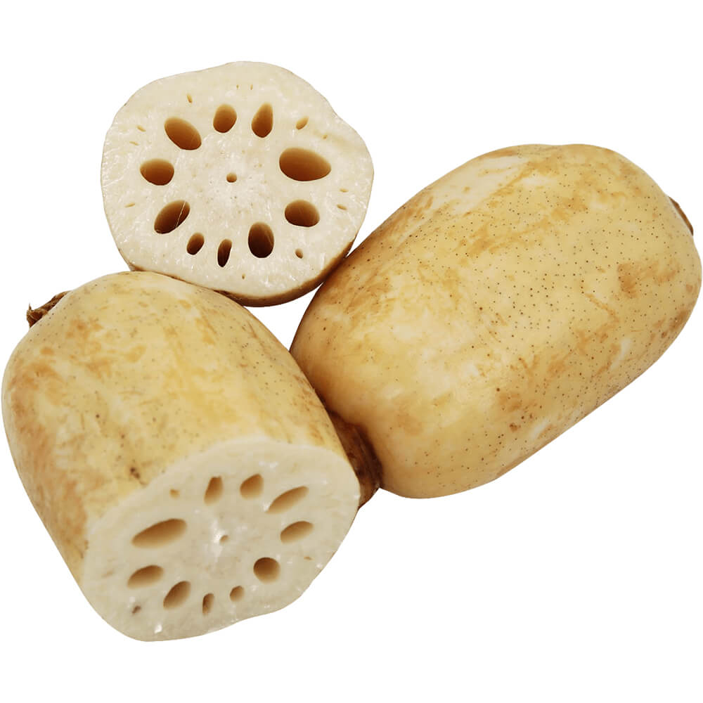 Lotus-Root-img-3