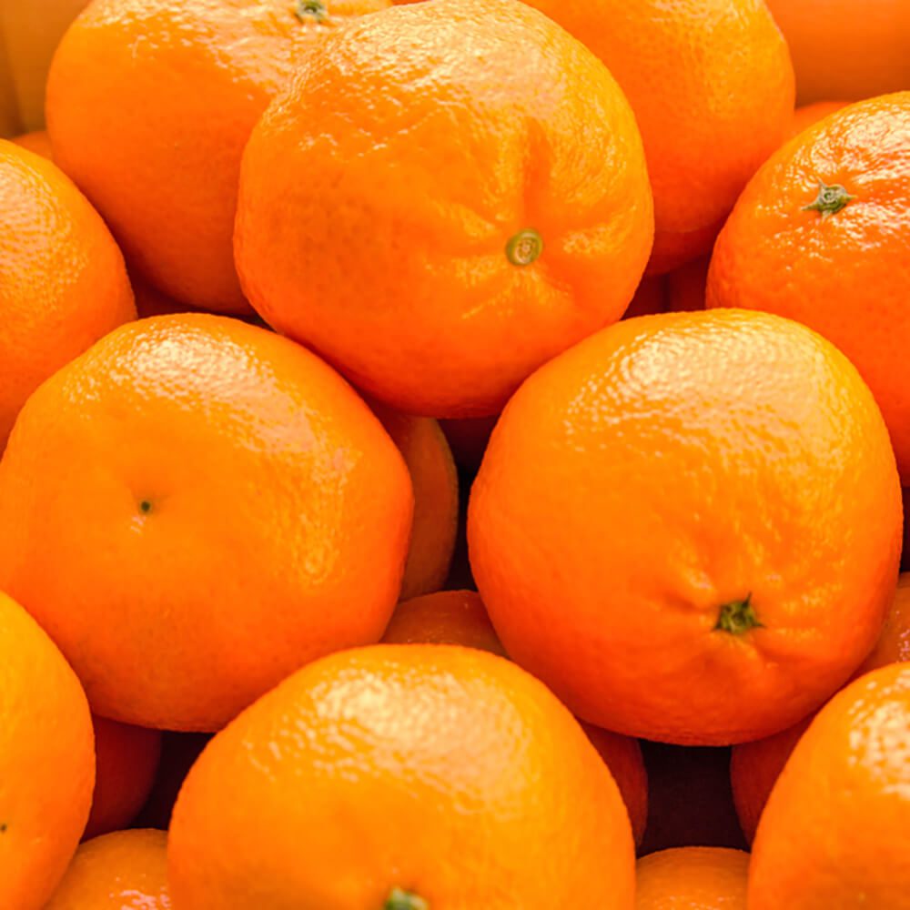 Mandarin-Australia-Seedless-img-3