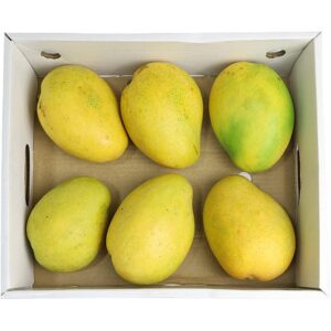Mango Badami Premium Box