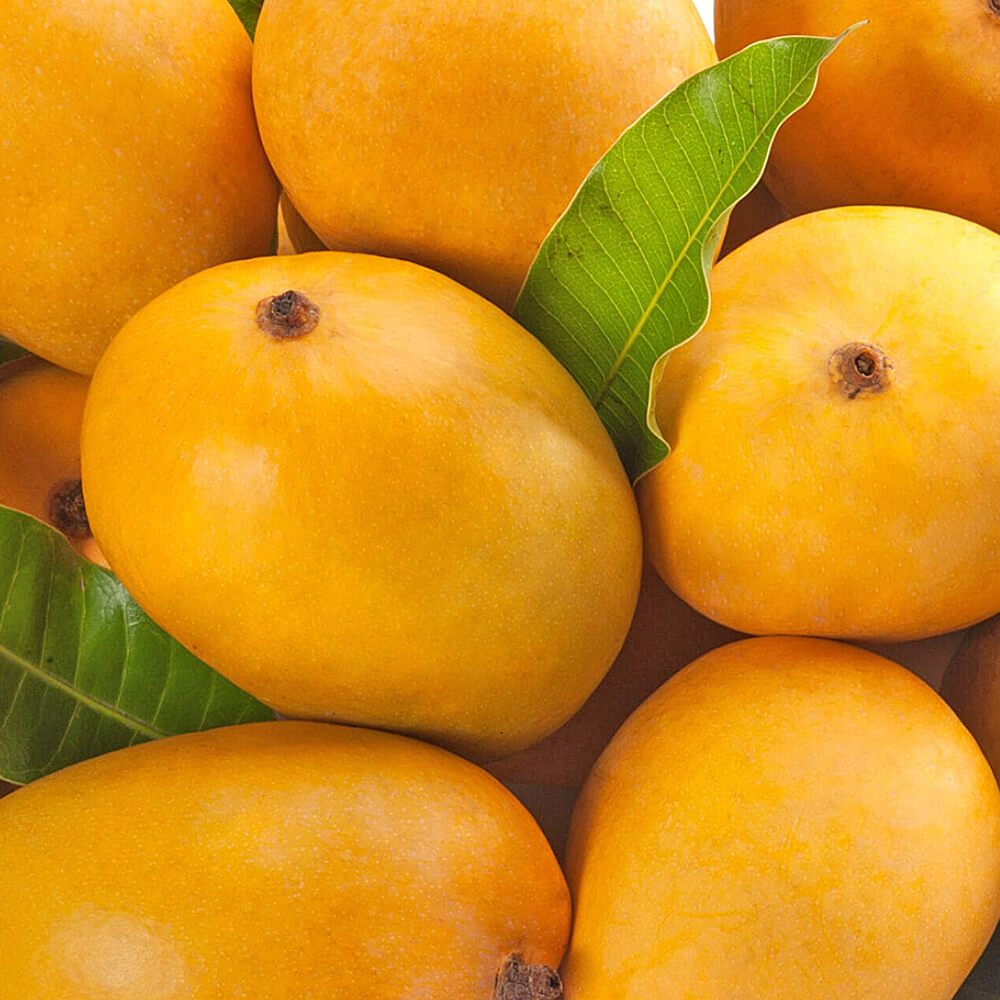 Mango-Badami-img-2