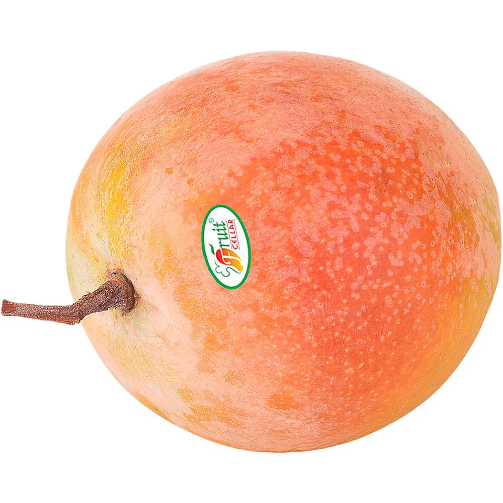 Mango-R2E2-Vietnam-img-2