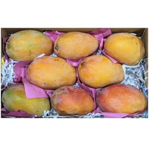 Mango Round Box