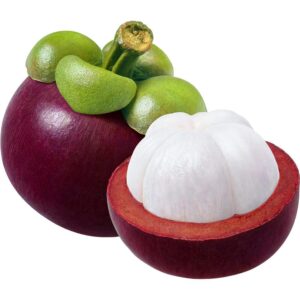 Mango Steen