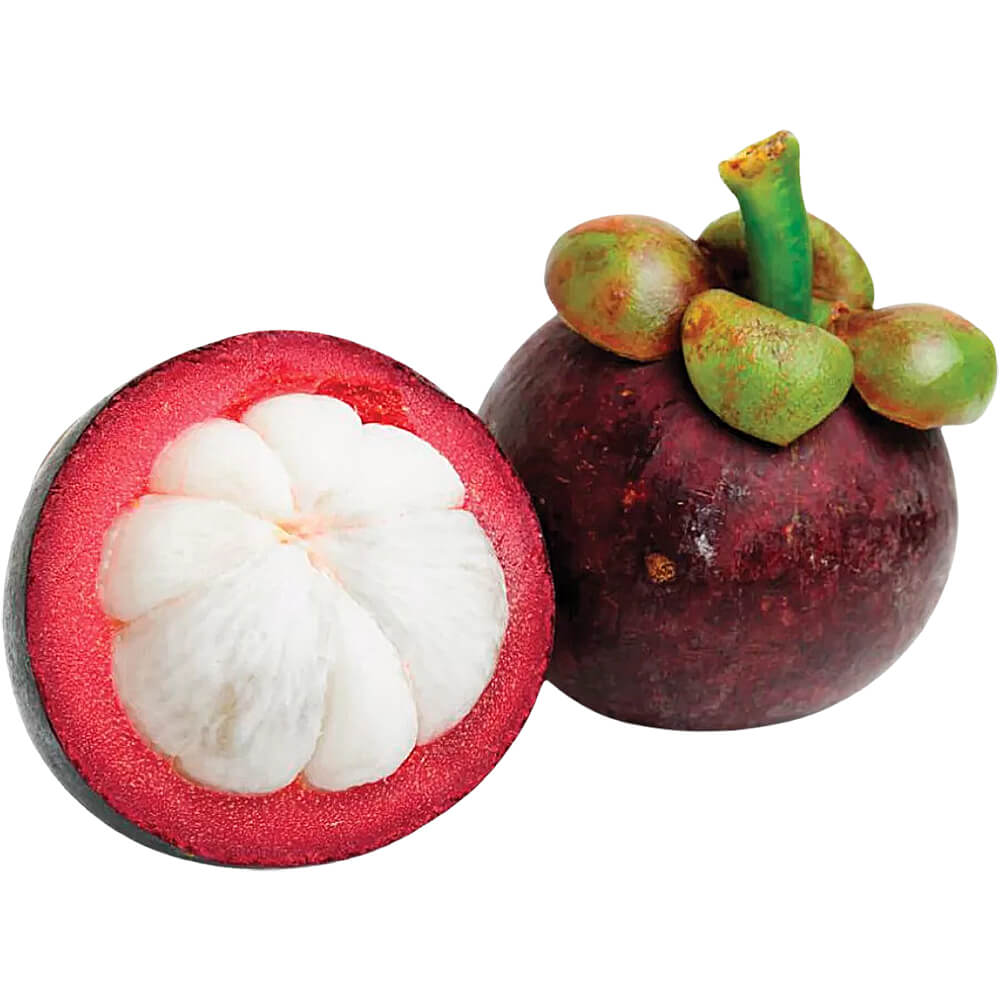 Mango-Steen-img-3