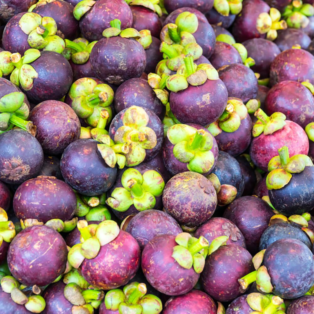 Mango-Steen-img-4