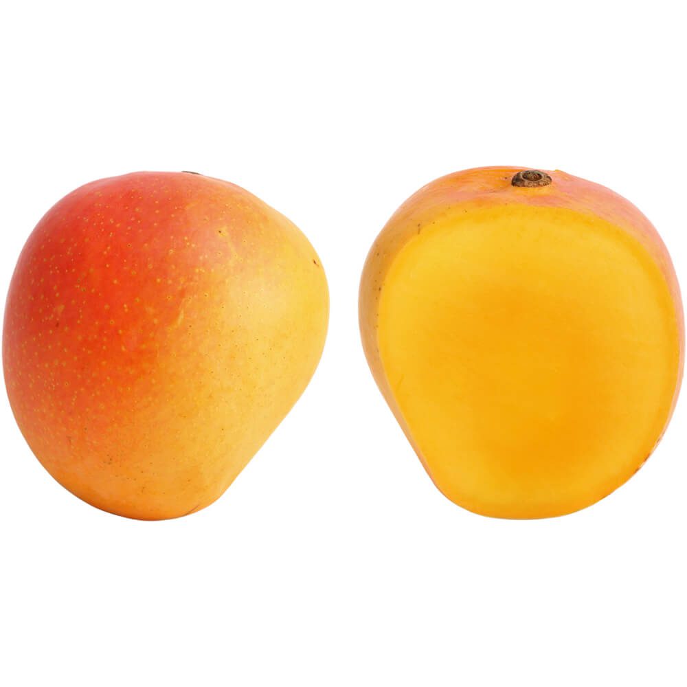 Mango-USA-Australia-Peru-img-3