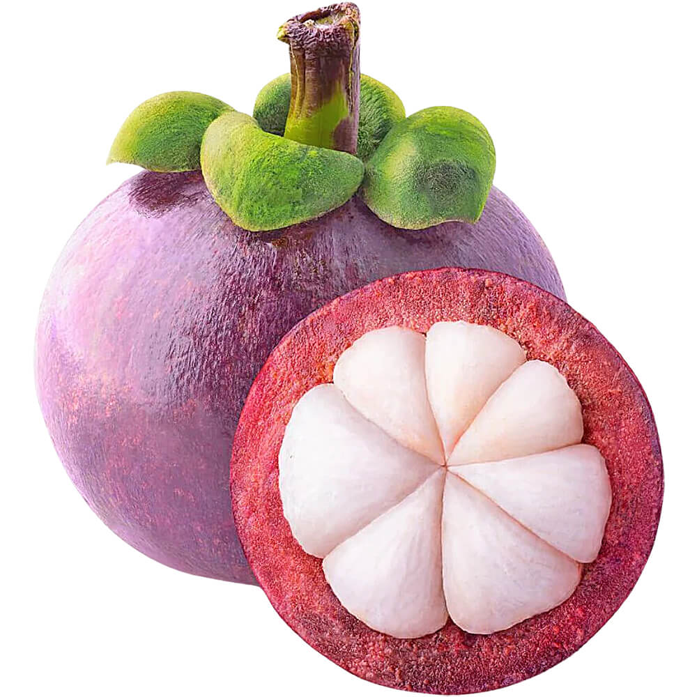 Mangosteen Indonesia
