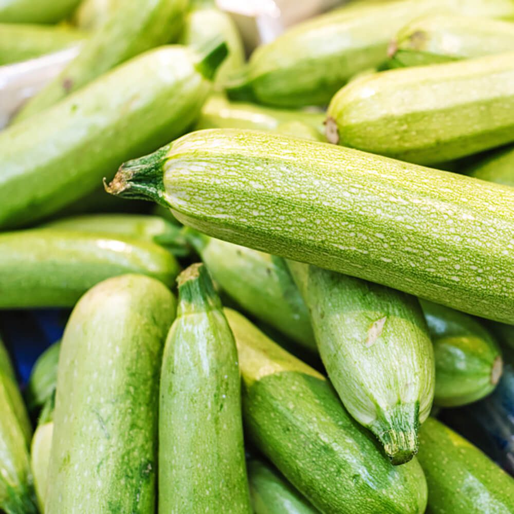Marrow-img-4