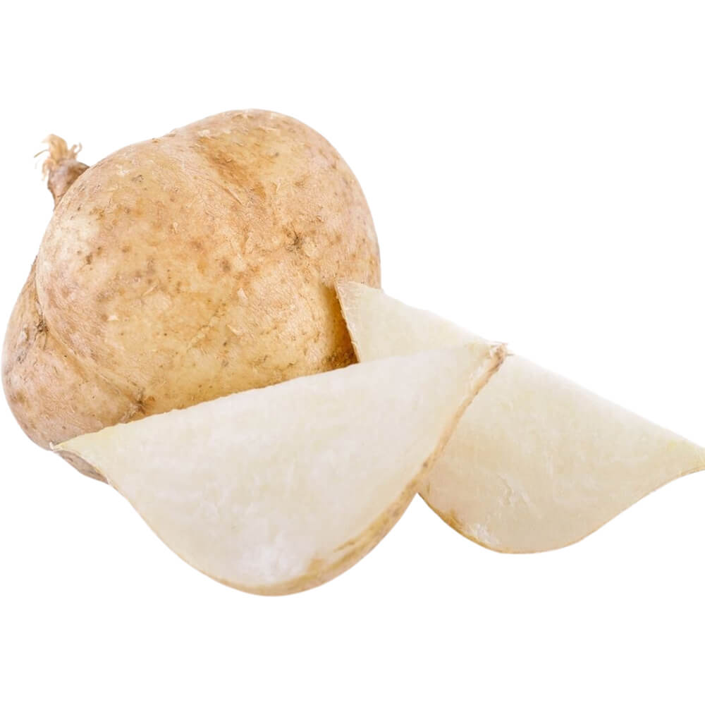 Mexican-Turnip-Jicama-img-3