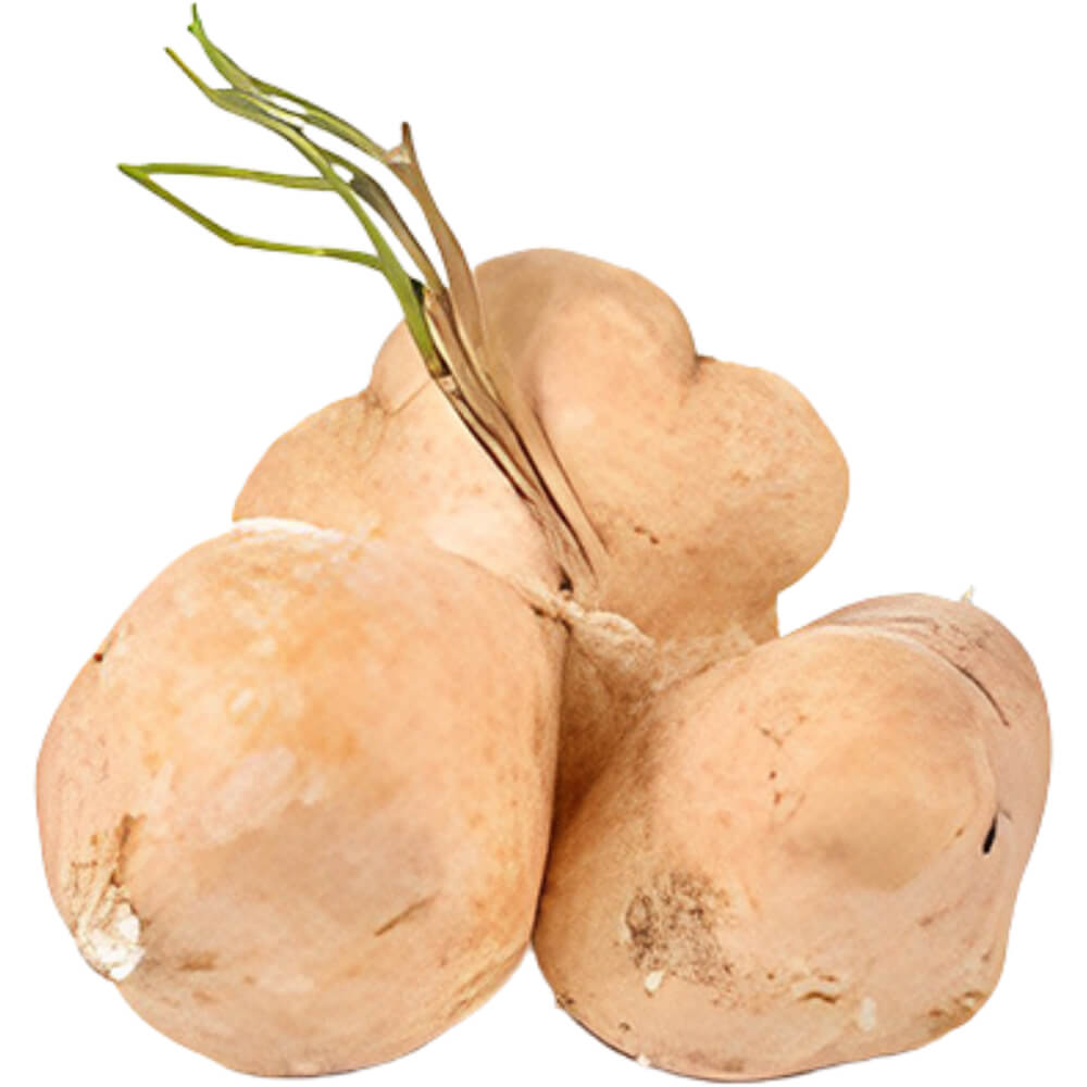 Mexican-Turnip-Jicama-img-4