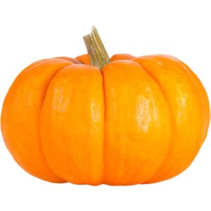 Mini Orange Pumpkin <span class="cwu-weight-badge cwu-weight-badge--inline">Piece ( Tennisball size )</span>