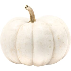 Mini White Pumpkin <span class="cwu-weight-badge cwu-weight-badge--inline">Piece ( Tennisball size )</span>