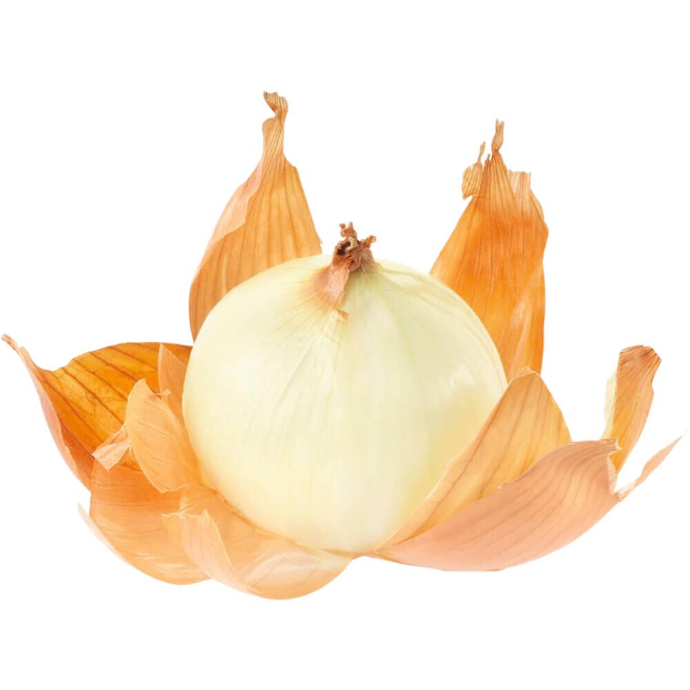 Onion-Brown-Peeled-img-2