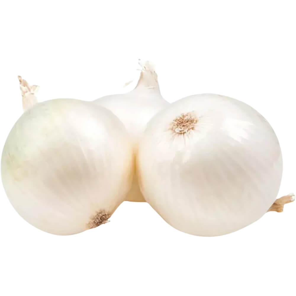 Onion White Iran