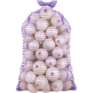 Onion White Spain Bag