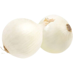 Onion White Spain