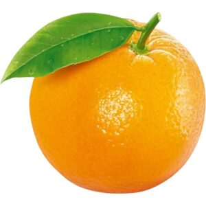 Orange Valencia Single