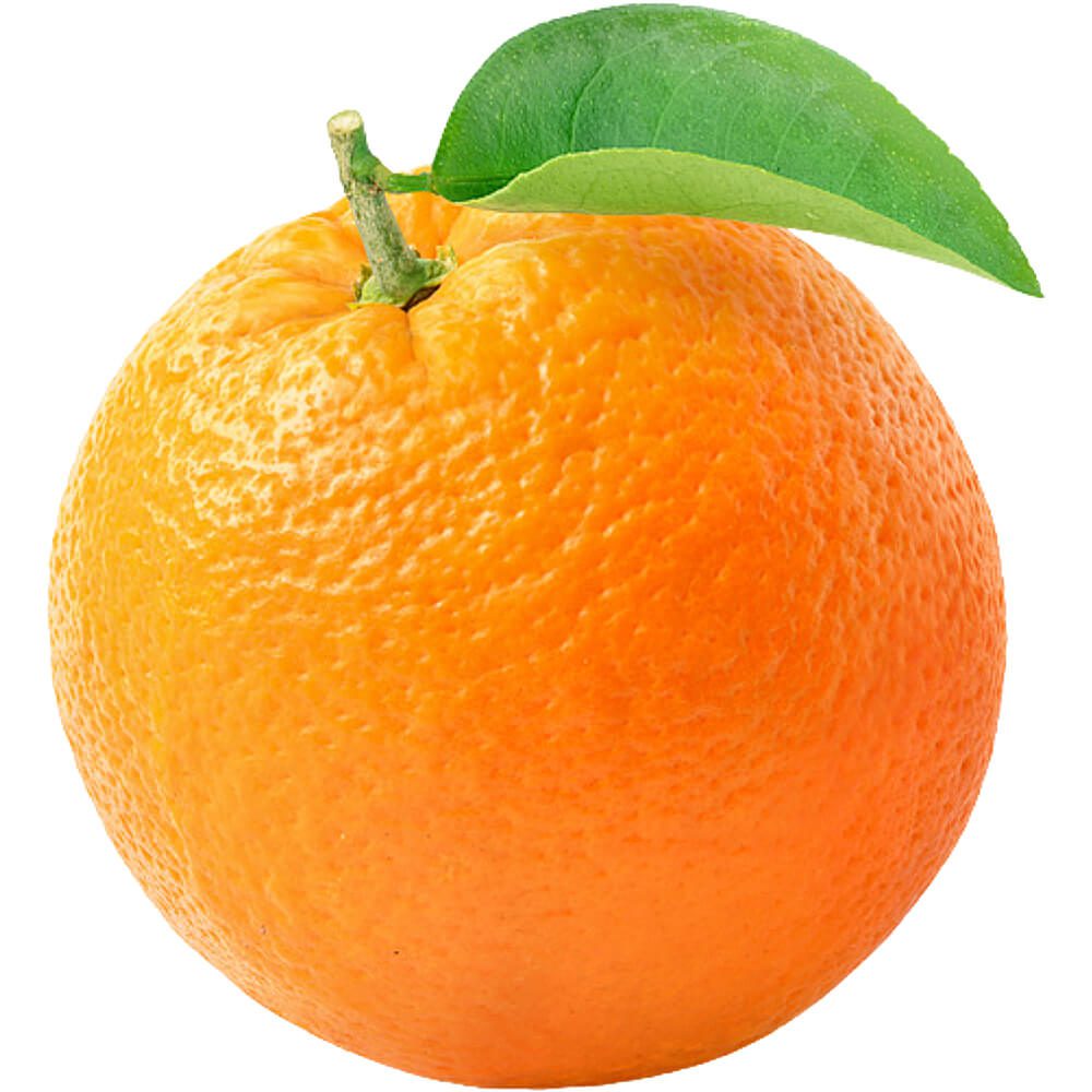 Orange-Valencia-img-2