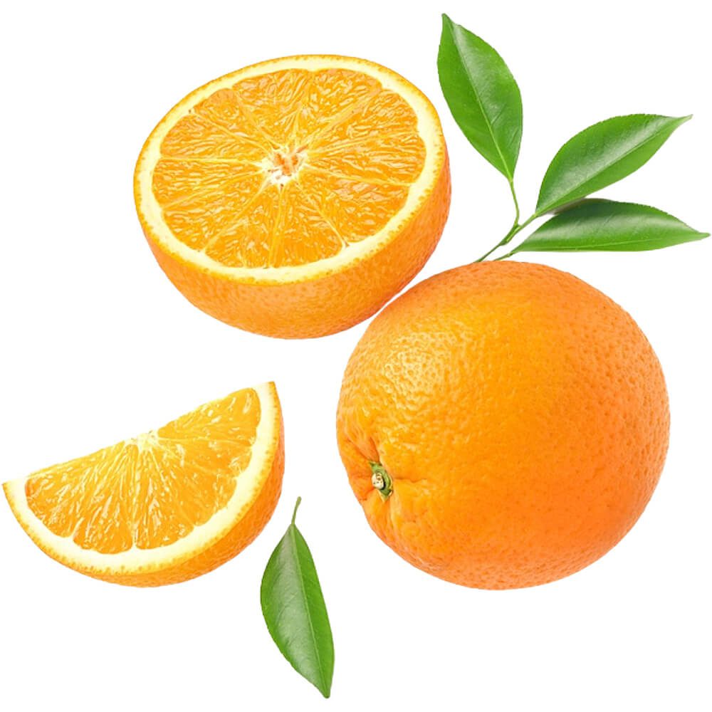 Orange-Valencia-img-3