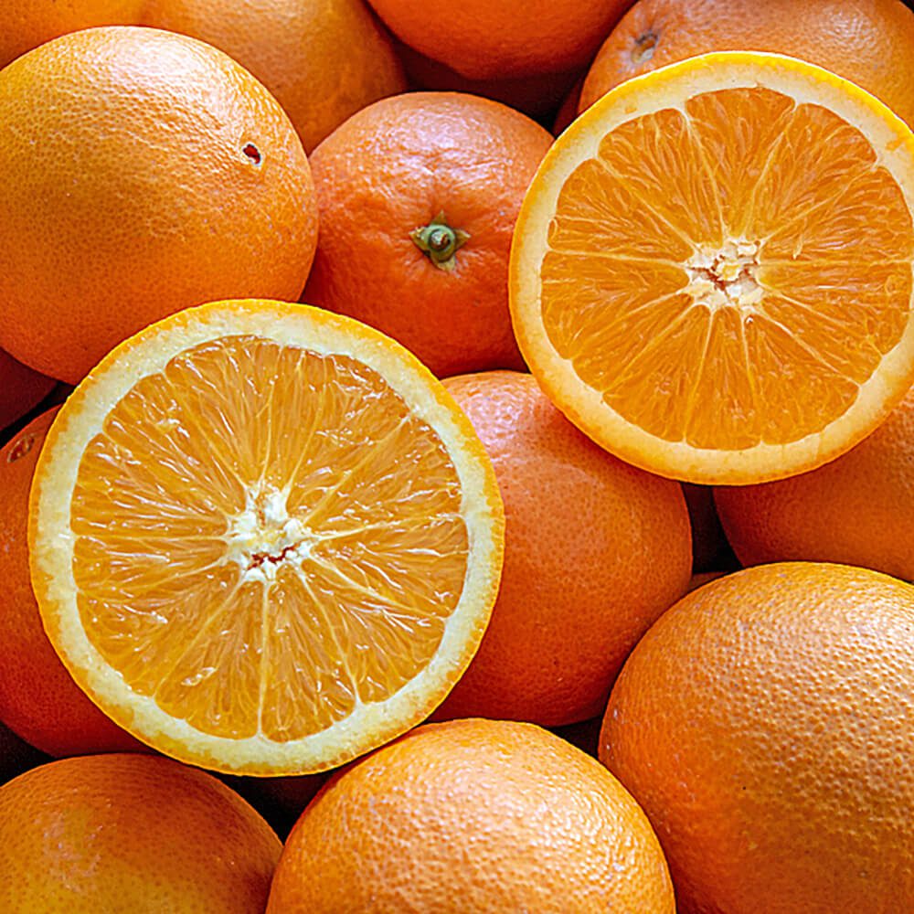 Orange-Valencia-img-4