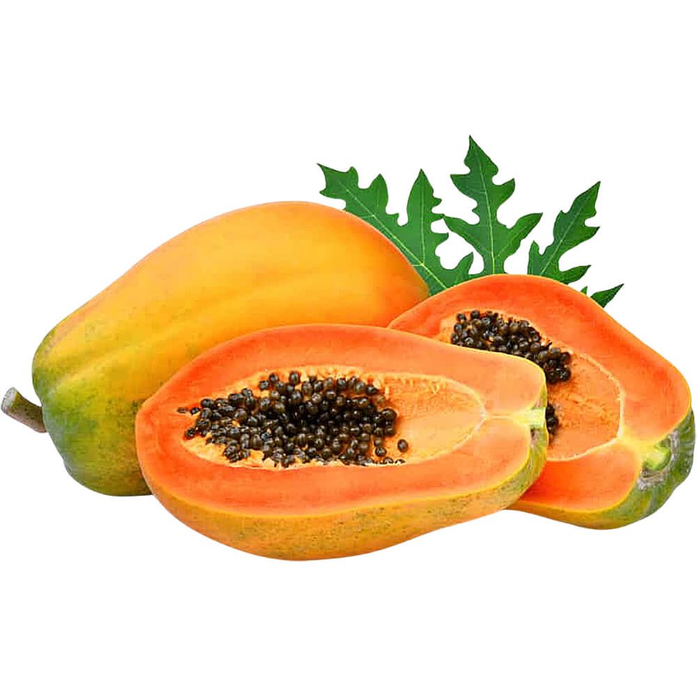 Papaya-India-Sri-Lanka-img-4