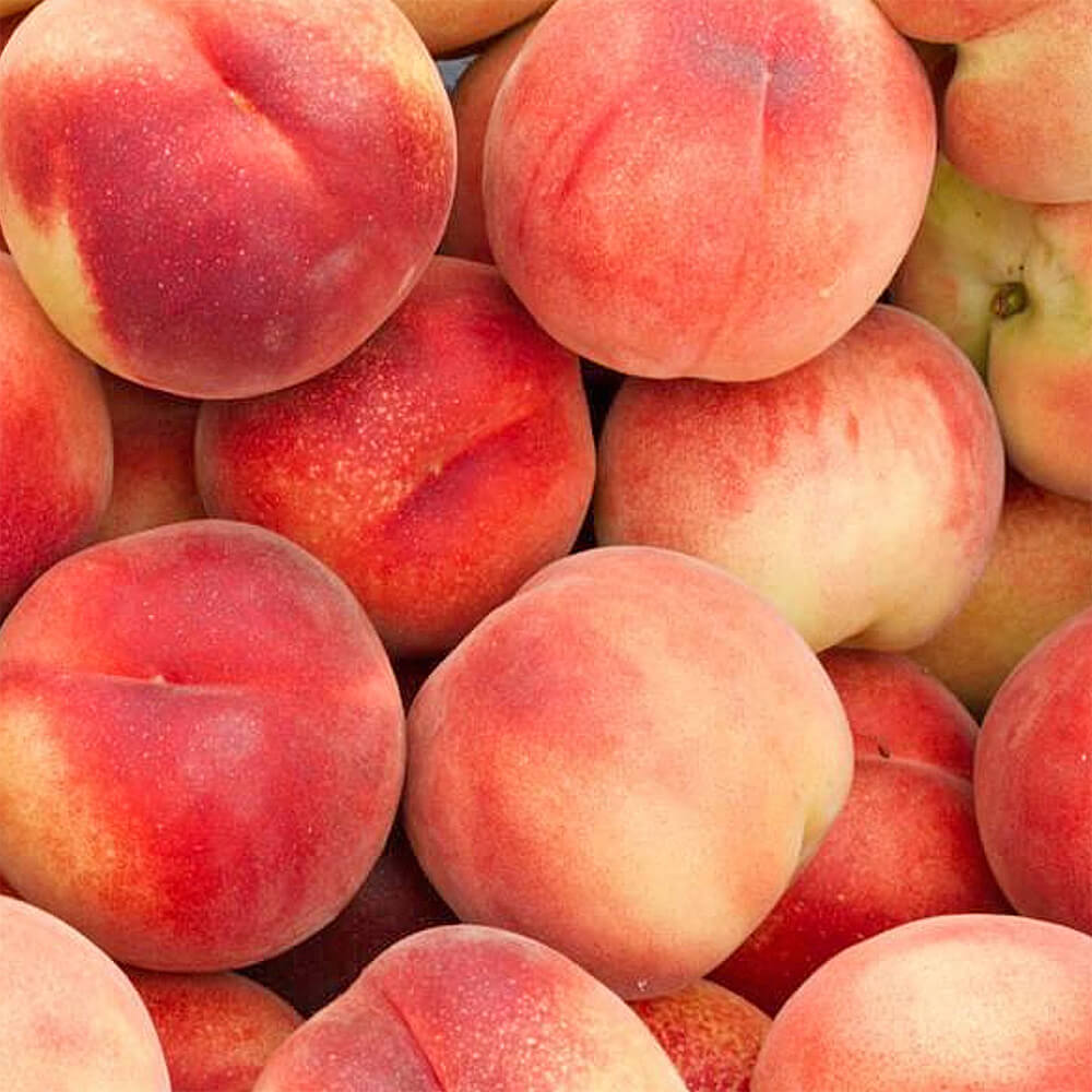 Peaches-Australia-img-3