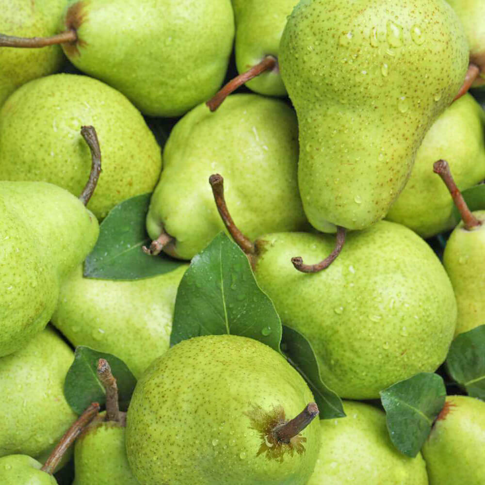 Pears-img-4