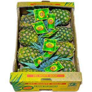 Pineapple Box