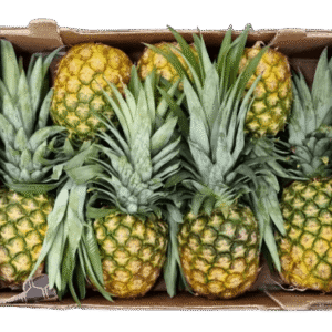 Pineapple Honeyglow Box