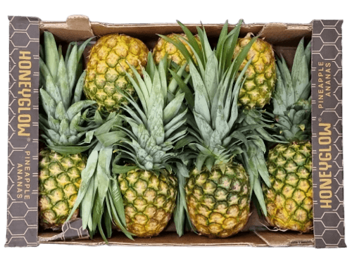 Pineapple Honeyglow Box