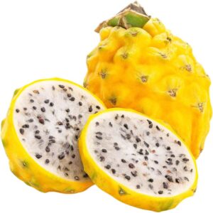 Pithaya Yellow / Dragon Fruit Yellow (Medium)