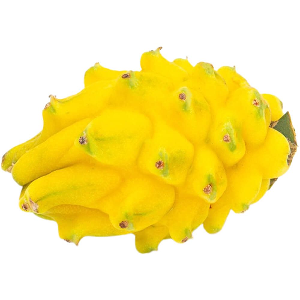 Pithaya-Yellow-Dragon-Fruit-Yellow-Medium-img-2