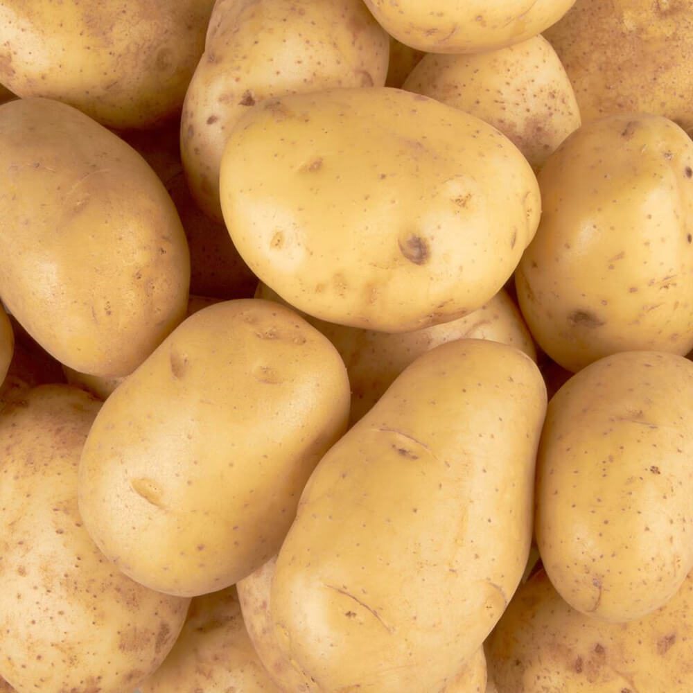 Potato-Big-img-3