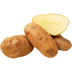 Potato Russet Idaho